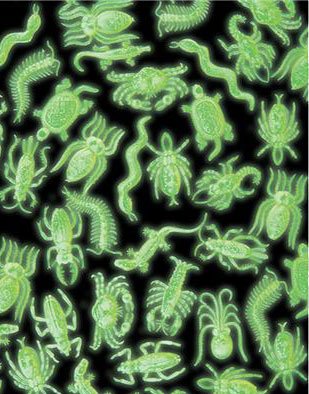 Lot 24 Glow In The Dark Halloween Decor Plastic Insects