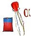 BeMax Beautiful Kites Software Octopus Large Size easy flyer - Red with Long Tail