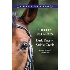 Dark Days at Saddle Creek: A Saddle Creek Book