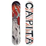 CAPiTA The Quiver Killers Snowboard 2010