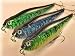 3 Custom Dog Top Water - Plugs - Fishing Lures - Dog