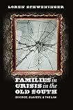 Families in crisis in the Old South : divorce, slavery, and the law