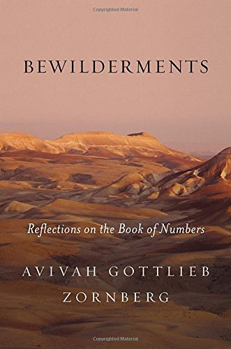 Bewilderments: Reflections on the Book of Numbers