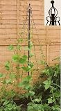 HAXNICKS GARDEN MAYPOLE
