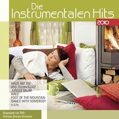Die Instrumentalen Hits 2010