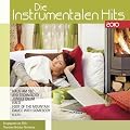 Die Instrumentalen Hits 2010