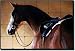 Patience by Janet Crawford - Horse Equine Tumbled Marble Mural 16