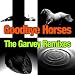 Goodbye Horses