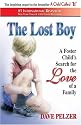 The Lost Boy: A Foster Child's Search for the Love of a Family
