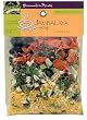 Frontier Soups Homemade In Minutes New Orleans Creole Jambalaya Soup, 6.0-Ounce Bags (Pack of 4)