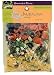 Frontier Soups Homemade In Minutes New Orleans Creole Jambalaya Soup, 6.0-Ounce Bags (Pack of 4)