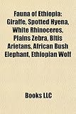 Fauna of Ethiopia: Spotted Hyena-