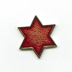 Davidstern Jewish Star of David Hexagramm Symbol Badge Pin Pins Anstecker 446