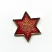 Davidstern Jewish Star of David Hexagramm Symbol Badge Pin Pins Anstecker 446