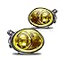Winjet WJ30-0081-12 OEM Series for [2001-2006 E46 M3] [2000-2003 E39 M5] [2003-2005 BMW 330i/330Ci] Yellow Lens Driving Fog Lights