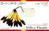 ローリング・サンダー―メディスン・パワーの探究 (mind books)