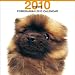 THE DOG ポメラニアン 2010年 カレンダー