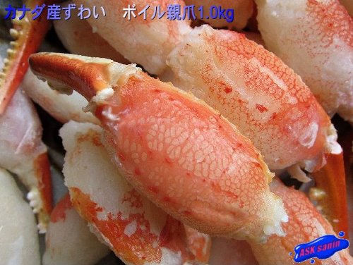ずわい蟹、親爪B1kg 山陰境港産