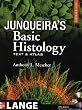 Junqueira's Basic Histology, 12th Edition: Text and Atlas