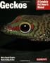 Geckos