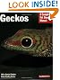 Geckos (Barron's Complete Pet Owner's Manuals)