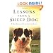 Lessons from a Sheep Dog