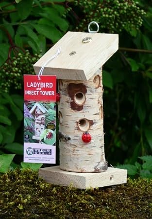 mini tour à coccinelles + livre d'activités