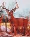 Sporting Goods : Hunter Dan "Big Game Figures" Hanson Buck