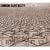 Syncopated City