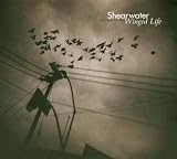 Winged Life