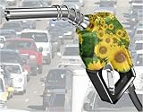 Business Plan: Biodiesel Fuel Gas Station Service NEW 08!