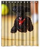 The pet dog series，cute Poodle dog wallpaper for Polyester Shower Curtain 60" X 72" Inches