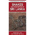 A Photographic Guide to Snakes & Other Reptiles of Sri Lanka