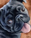 Black Pug Dog Art Print Signed by Artist DJ Rogers