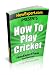 How To Play Cricket - Your Step-By-Step Guide To Playing Cricket