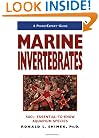 A PocketExpert Guide to Marine Invertebrates: 500+ Essential-to-Know Aquarium Species