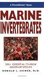 A PocketExpert Guide to Marine Invertebrates: 500+ Essential-to-Know Aquarium Species