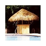 SCG Tiki Hut