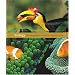 Biology: The Unity and Diversity of Life