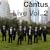 Cantus Live - Volume Two