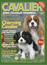 Cavalier King Charles Spaniels