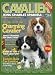 Cavalier King Charles Spaniels