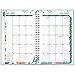 AT-A-GLANCE Weekly/Monthly Planner/Appointment Book, Evelina Design, Academic Year, July 2015-June 2016, 4.88 x 8 Inch Page Size (801-201A)