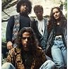 Abbildung von Rusted Root