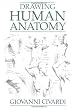 Drawing Human Anatomy