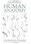 Drawing Human Anatomy