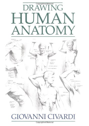 Check For Discount Price For Drawing Human Anatomy