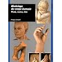 Modelage du corps humain : pieds, mains, tête