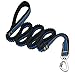 ITERY Dog Leash, Reflective Training Bungee Leash Elastic Dog Pet Lead Leash with Control Handle (Blue)