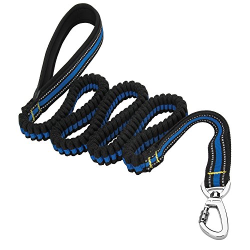 Dog Leash, Itery Reflective Training Bungee Leash Elastic Dog Pet Lead